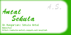 antal sekula business card